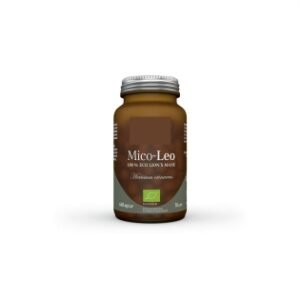 Capsules From Lion's Mane Extract